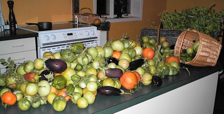 Fresh farm veggies! Photo by Alan Viau