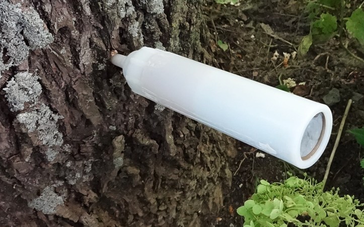 Injection site. Photo by Alan Viau