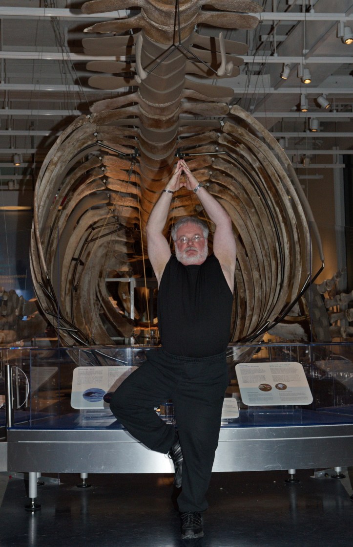 Photo by C. W. Clark