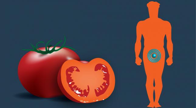 Tomatoes-and-prostate-cancer