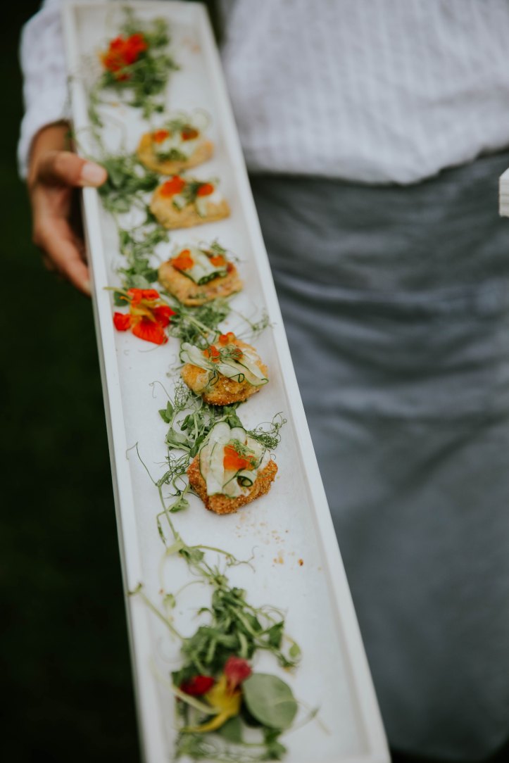 lee-hnetinka-1436149-unsplash